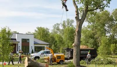 Professional landscaping and tree removal in West Palm Beach FL by Chop Chop Tree experts