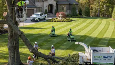 Professional lawn care and tree removal in West Palm Beach FL for healthy tropical landscapes