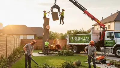 Professional lawn and tree service in West Palm Beach, FL maintaining healthy coastal landscapes